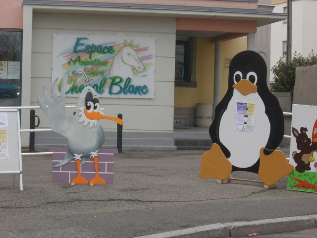 20100328/CIMG2340.JPG
